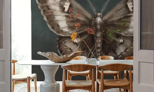 Elegant Moth I