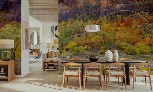 Canyon Autumn Splendor