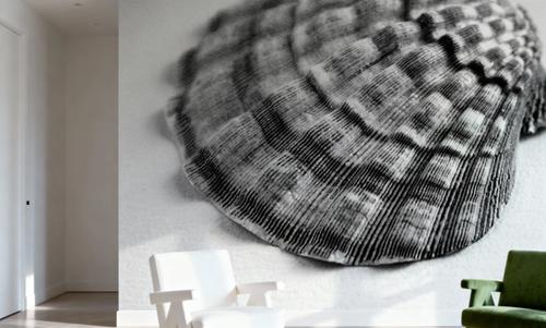 Scallop 3