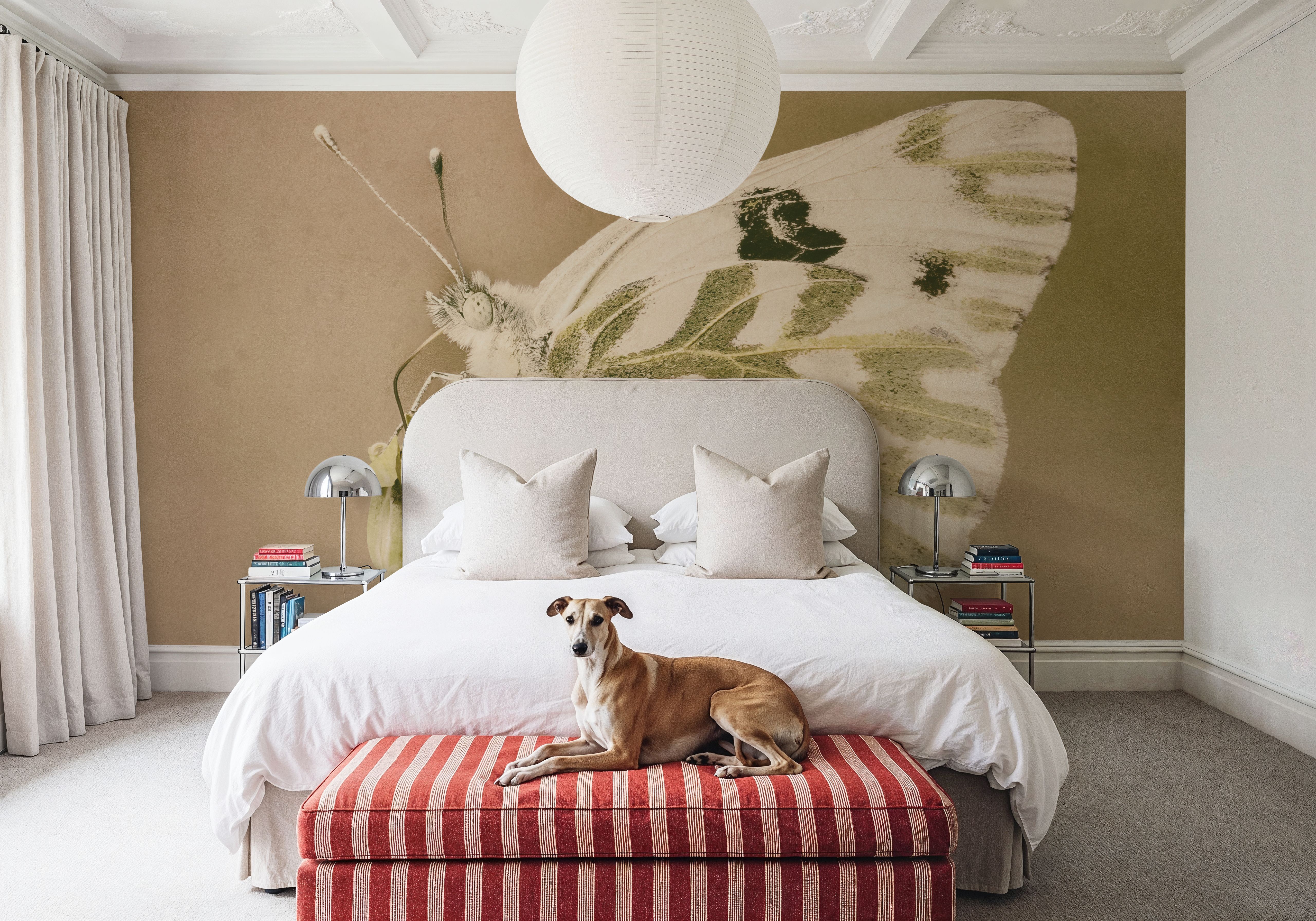 Sagebrush White Sepia, Tapeten