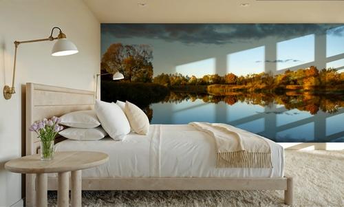 Mirrored Landscape