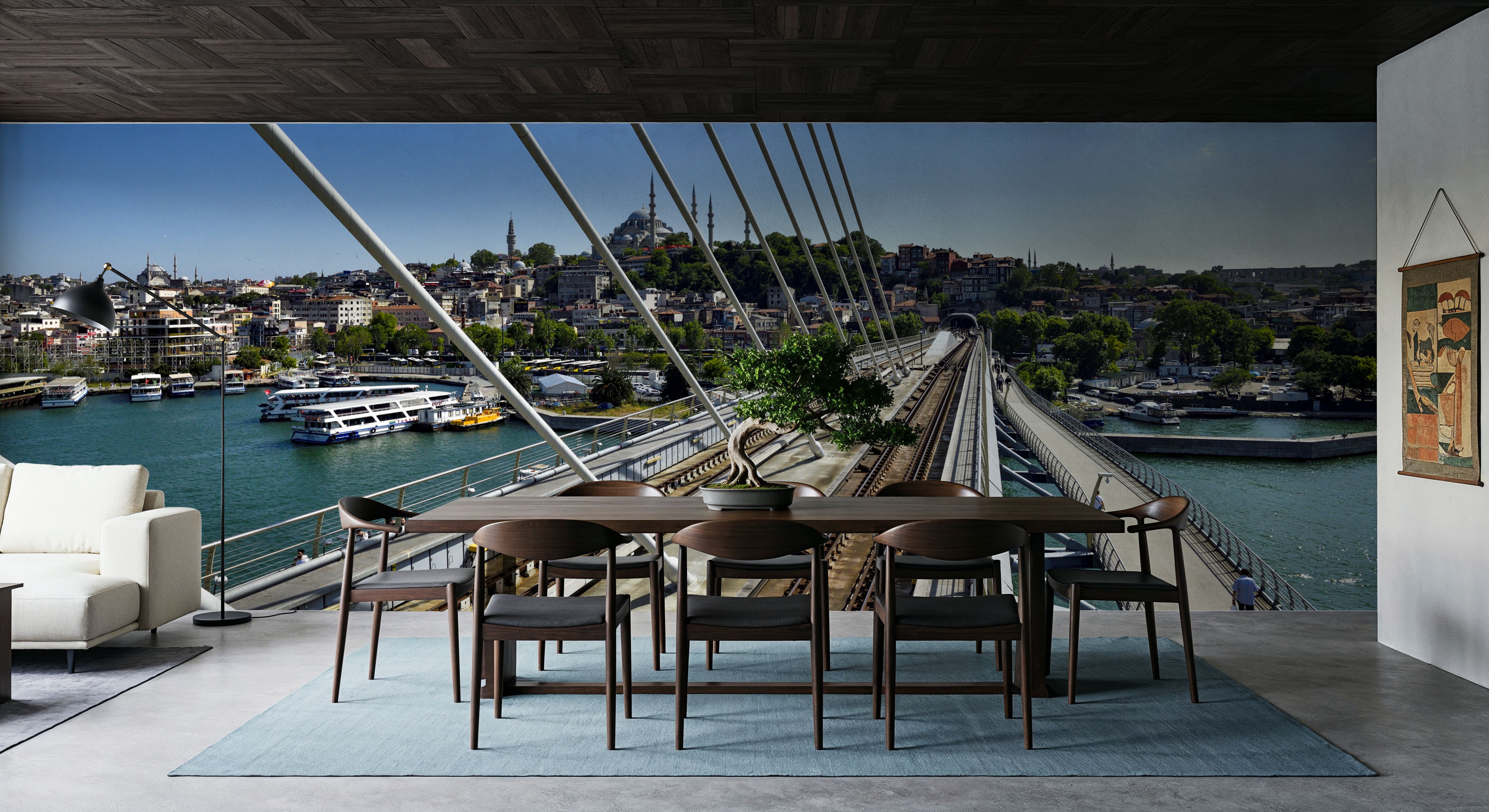Urban Bridge Panorama