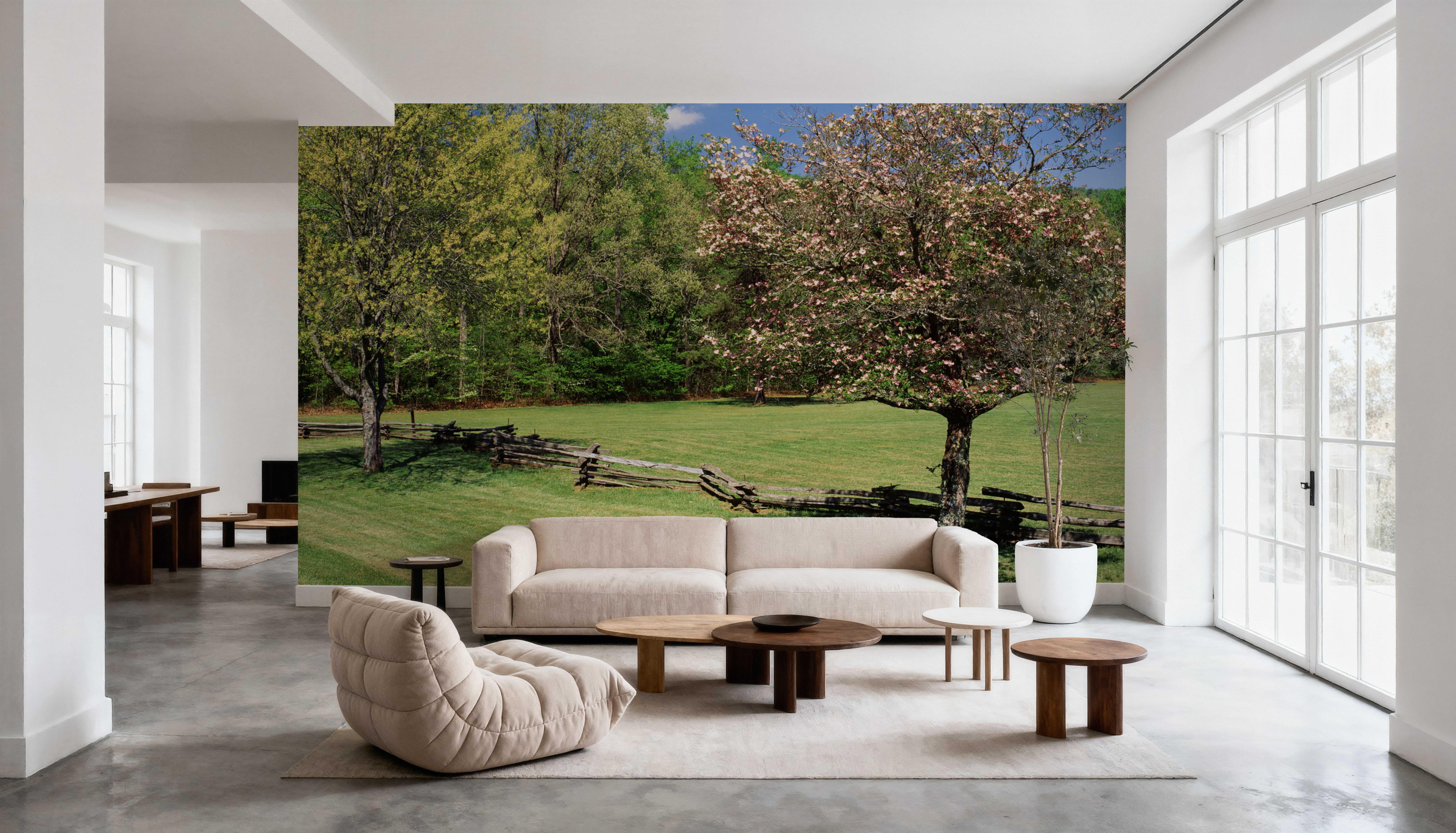 Pisgah National Forest