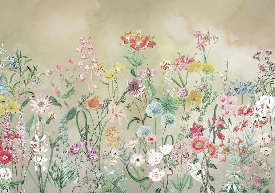 Summer Meadow