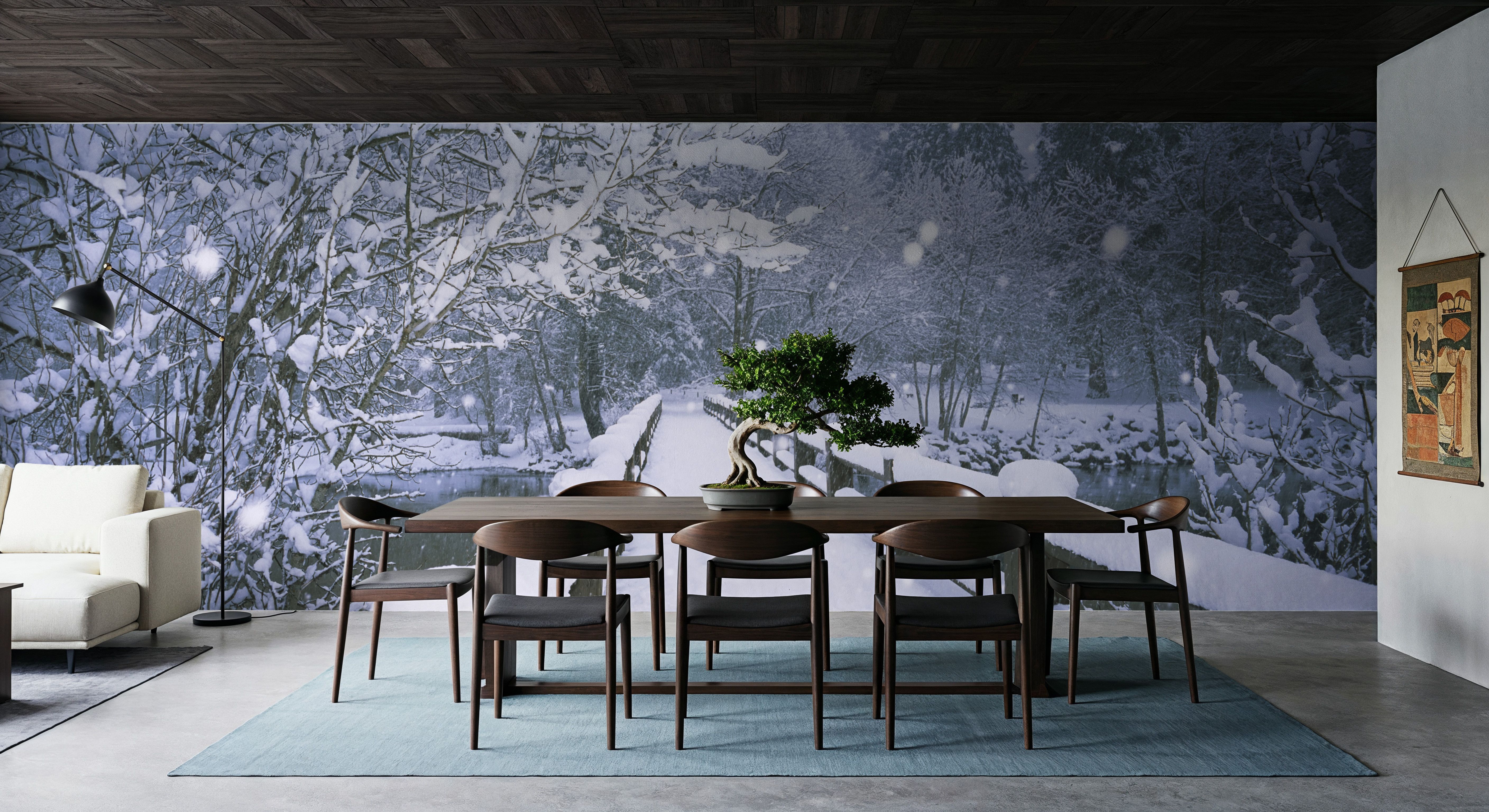 Winter Bridge Serenity