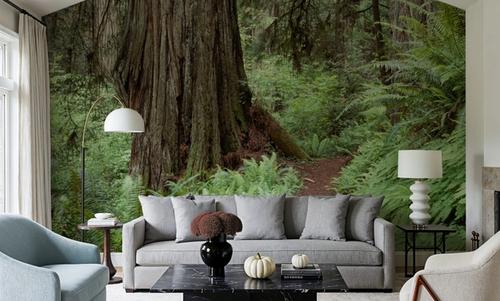 Primeval Forest Path