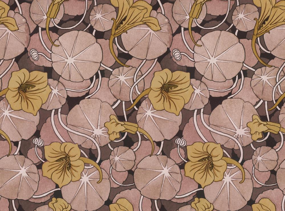 Nasturtium Verdure, Yellow