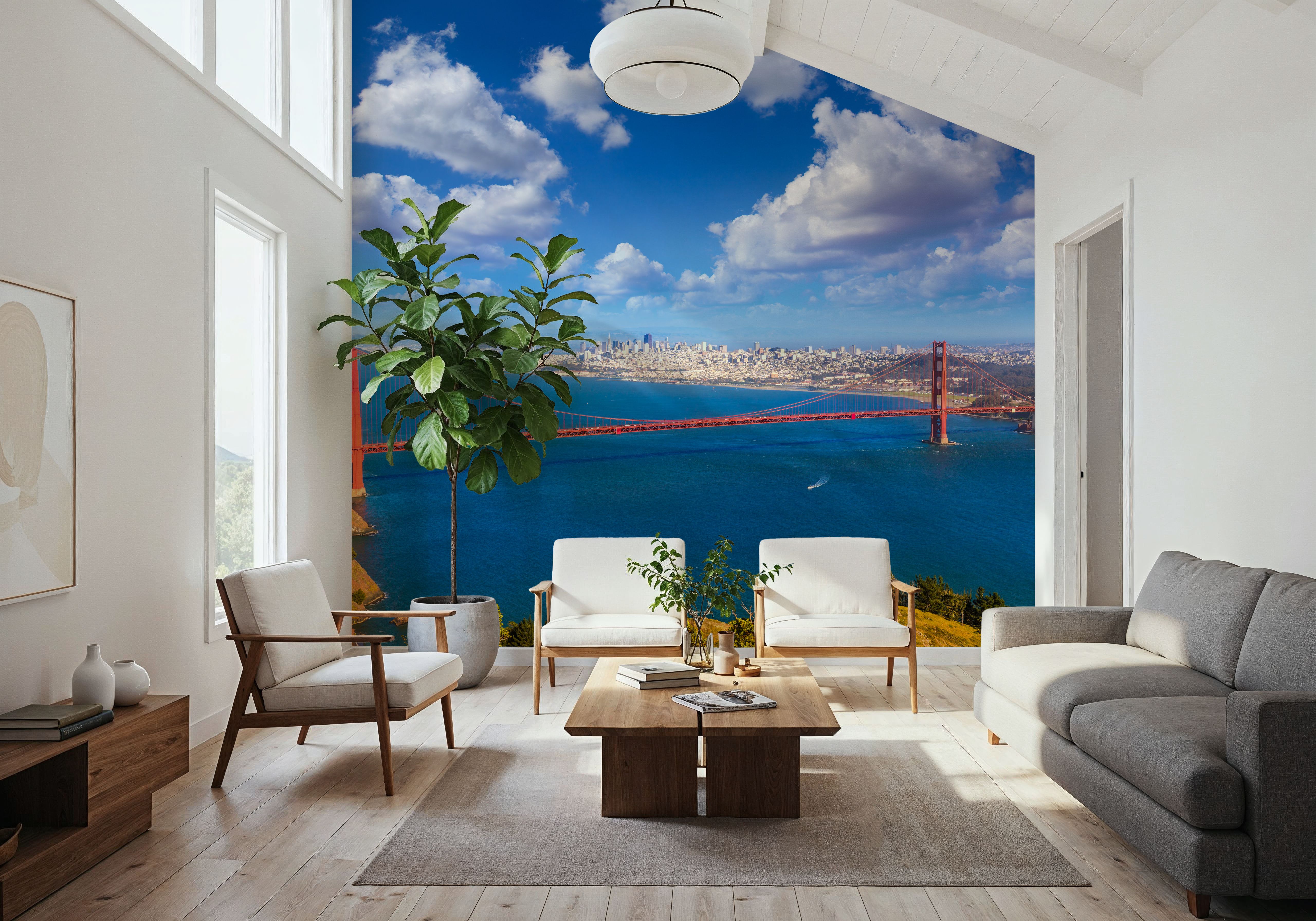 Golden gate Bridge from Marin