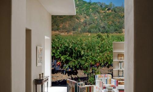 Vineyard Splendor