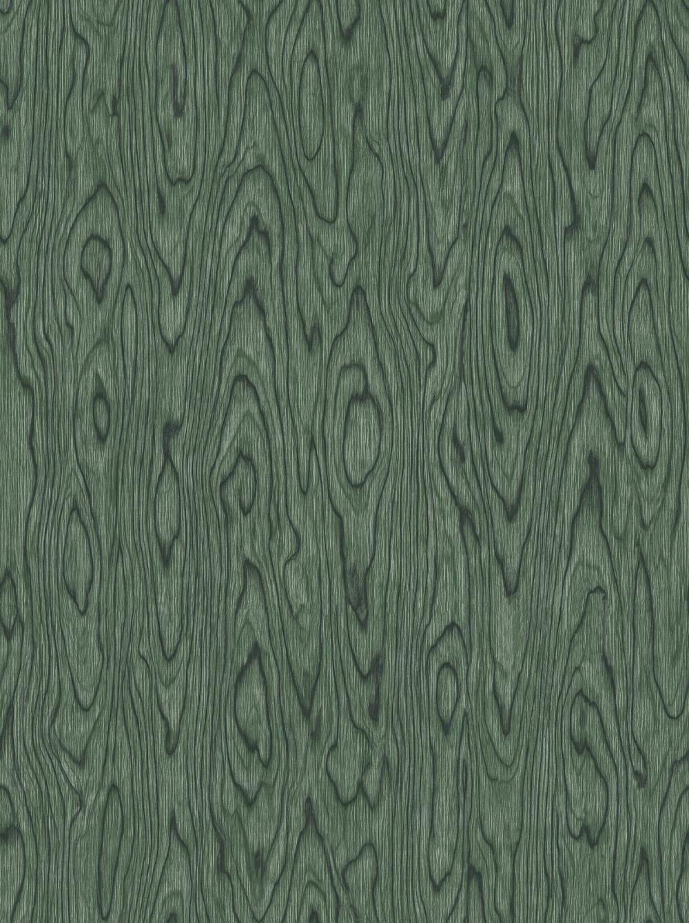 Conoid Grain, Terre Verte