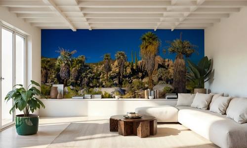 Baja Palms