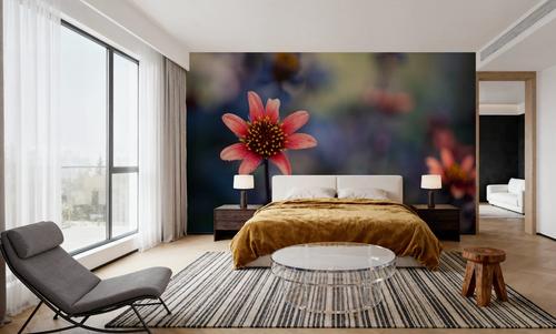 Peach Dahlias