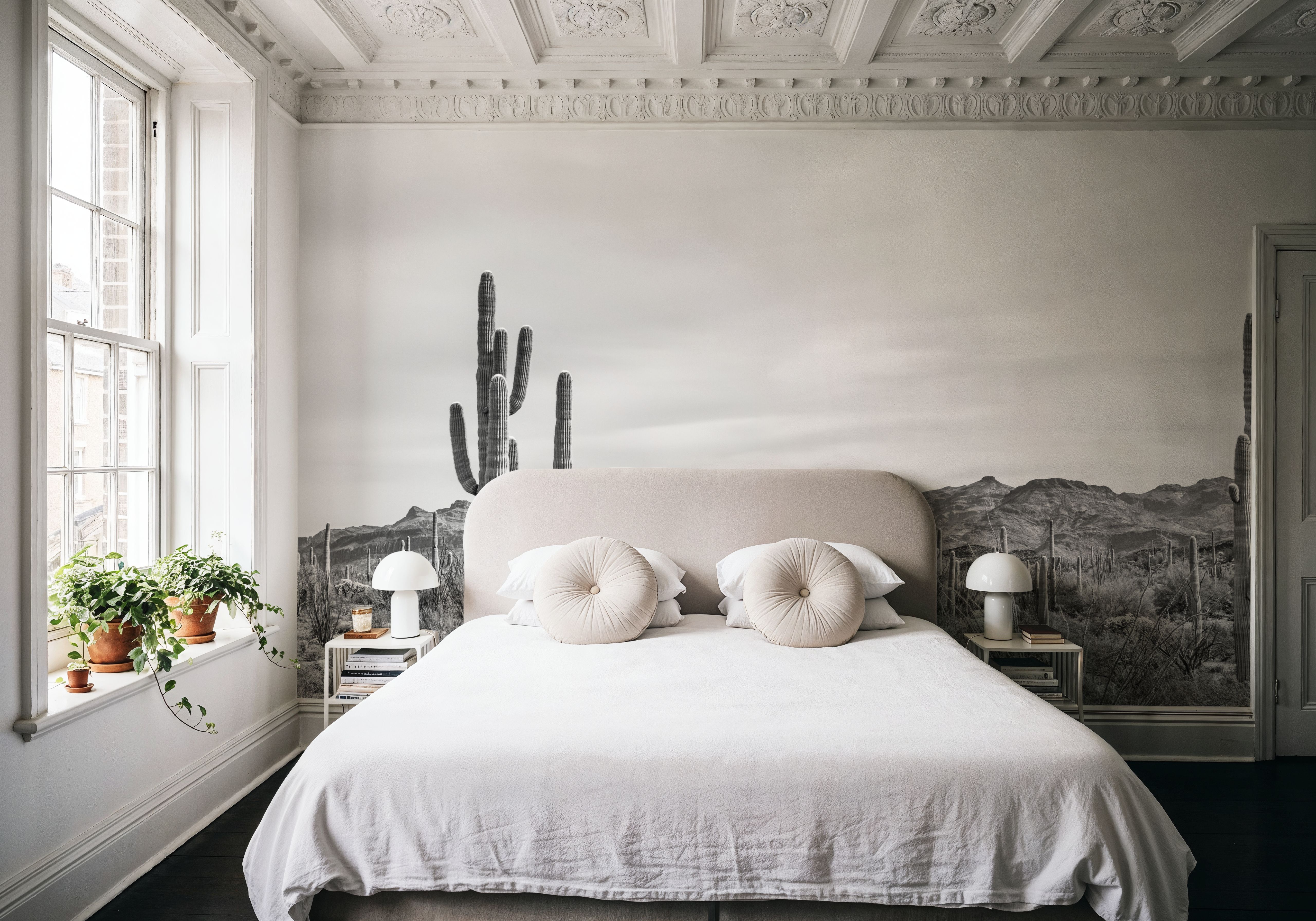 Sonoran Wonderland BW