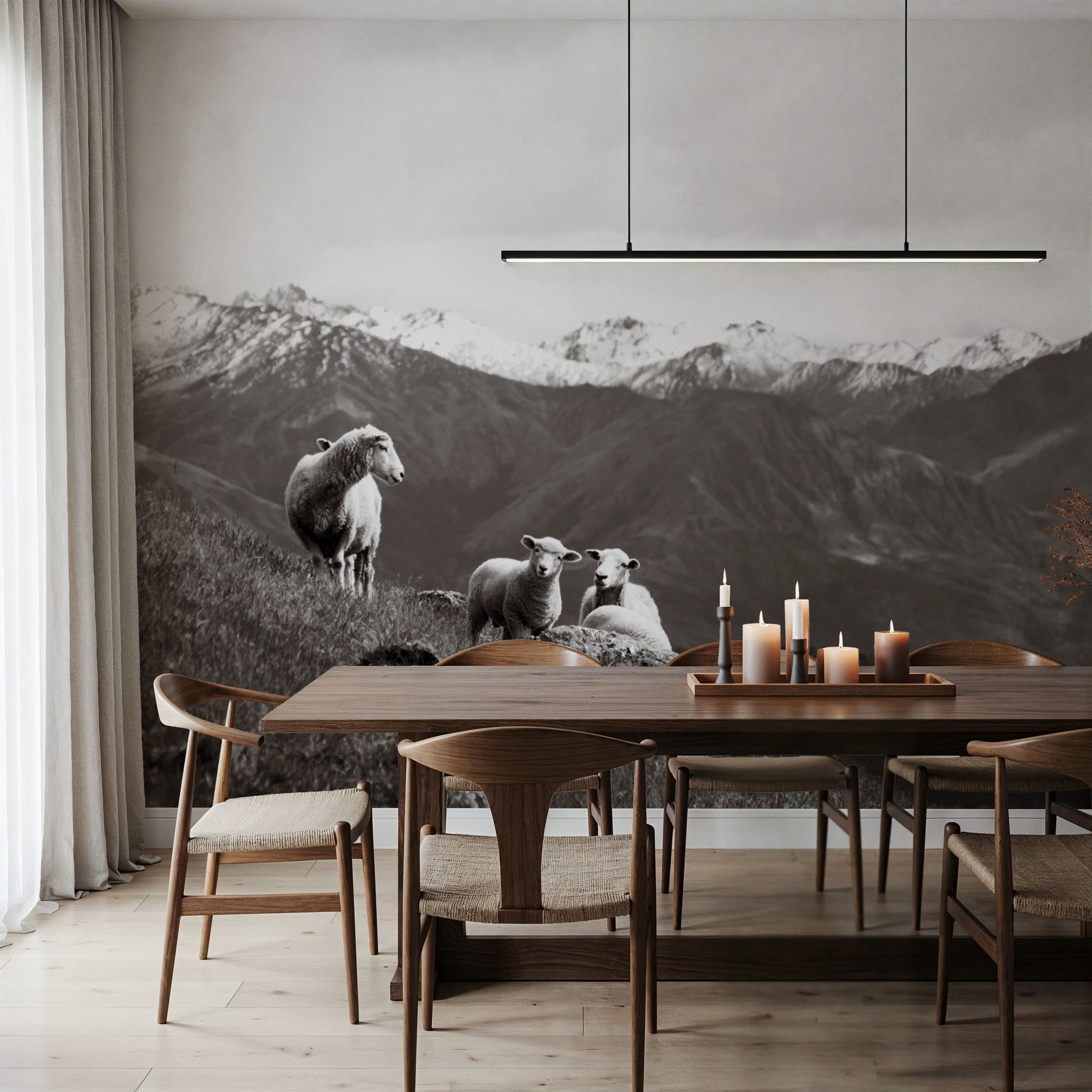 Wanaka Sheep I