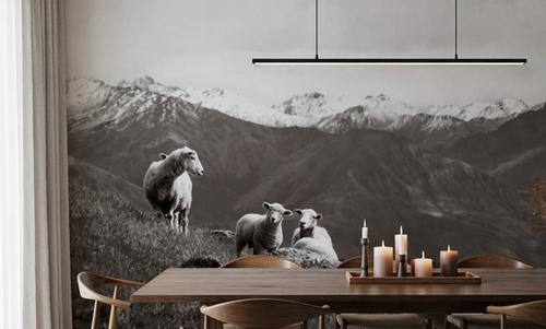 Wanaka Sheep I