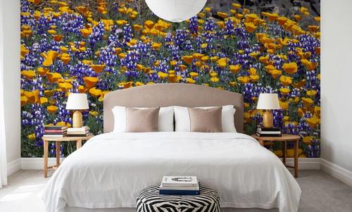 Poppy and Lupine Meadow