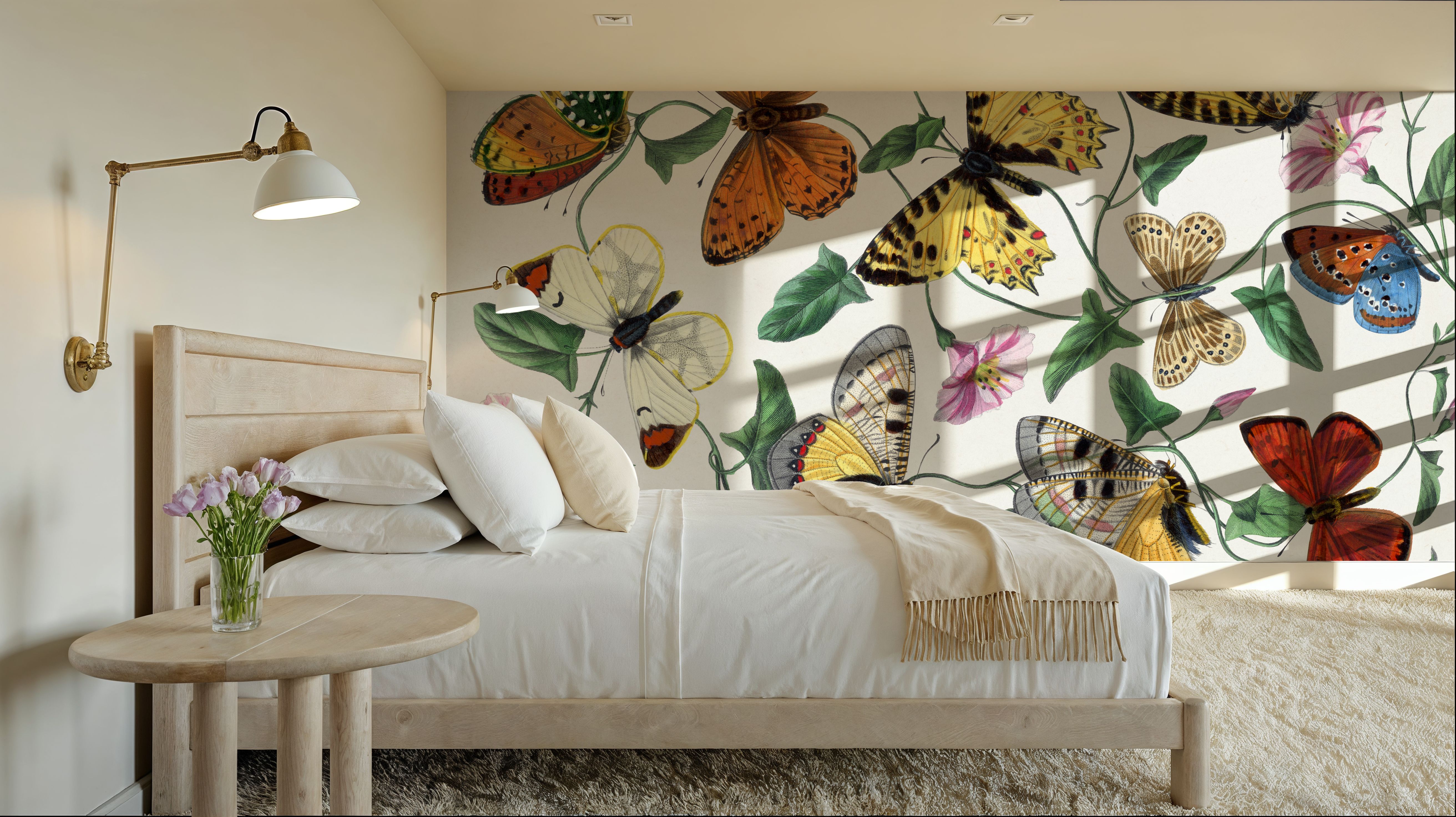 Butterfly & Moths