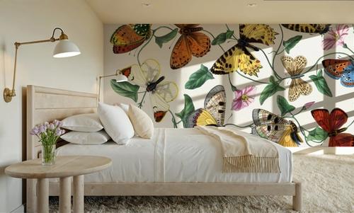 Butterfly & Moths