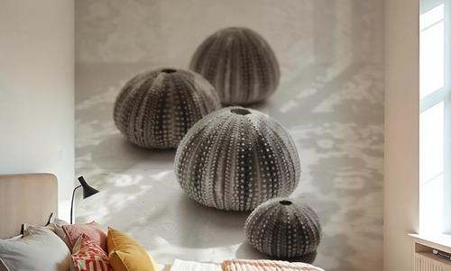 Urchins in Lace II