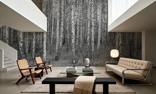 Birch Symphony
