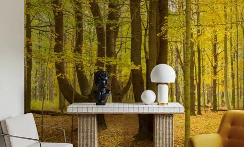 Letchworth Autumn
