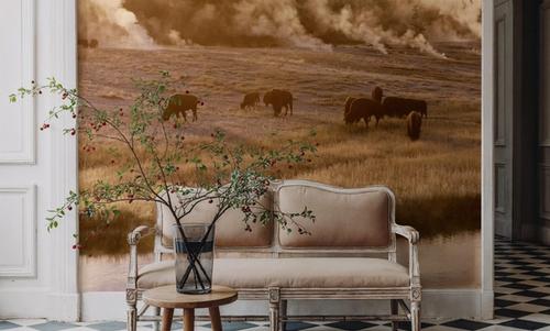 Bison Firehole River