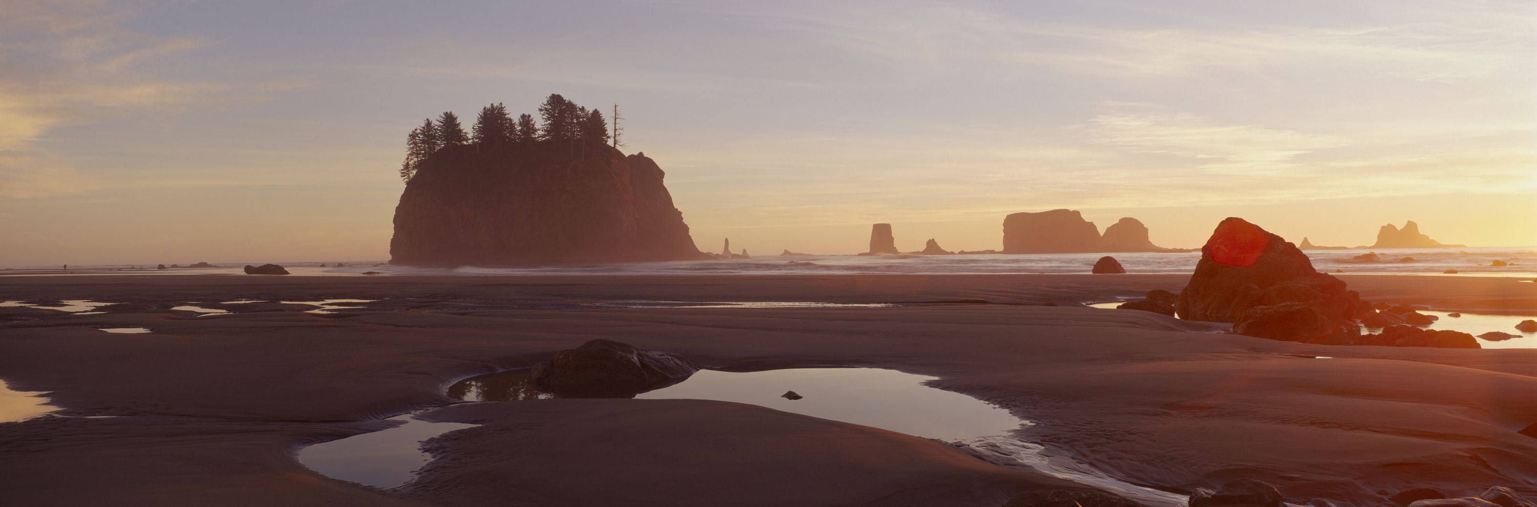 Tidal Pools