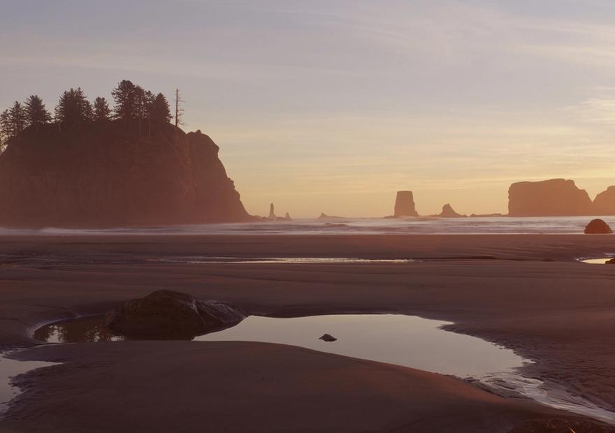 Tidal Pools