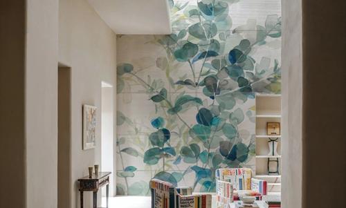 Eucalyptus I on Shiplap