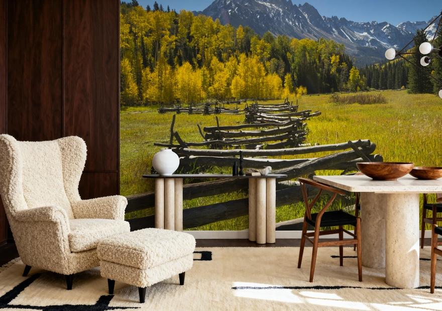 Mountain Meadow Path