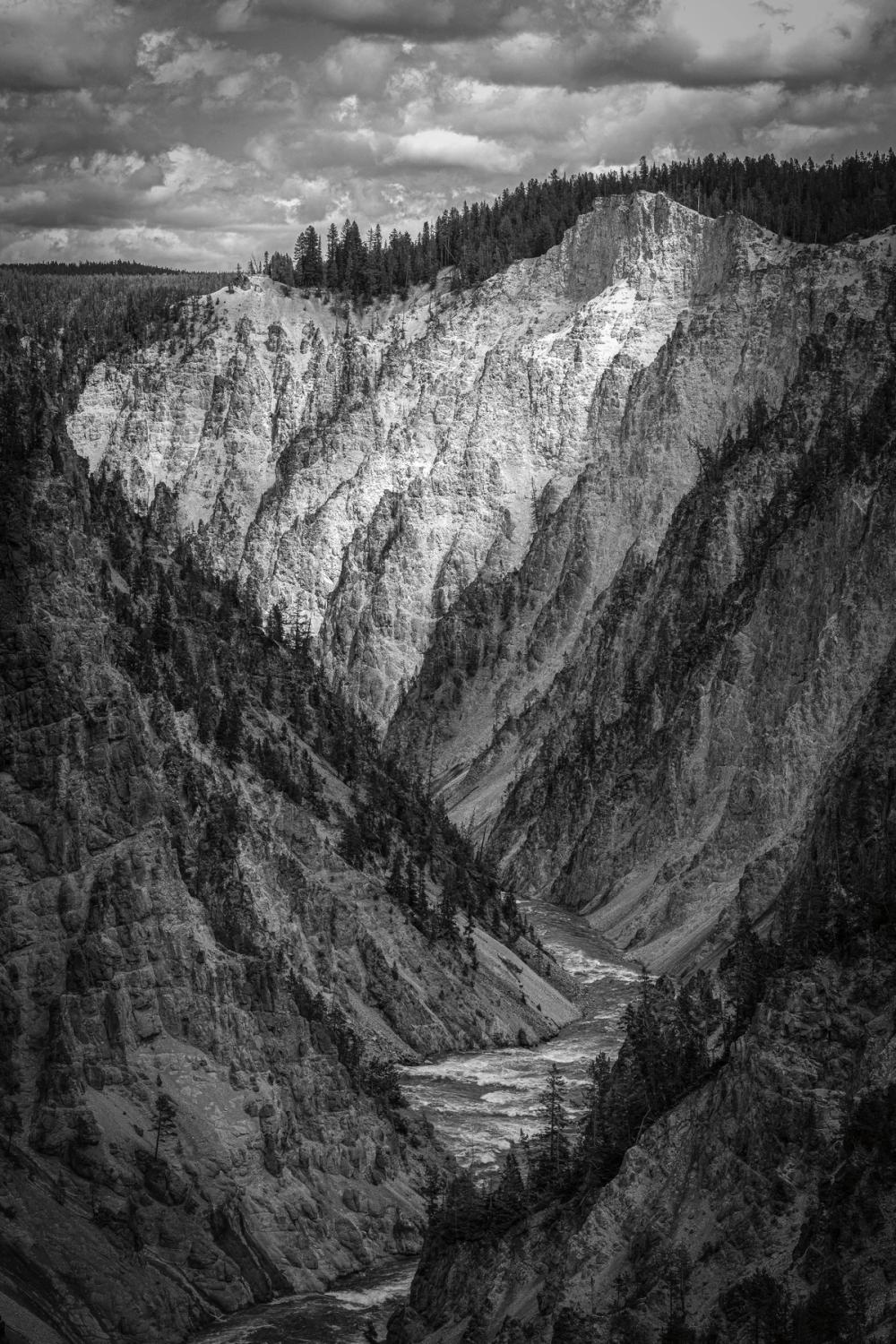 Yellowstone Summers BW
