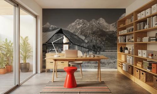 Mountain Homestead Black & White