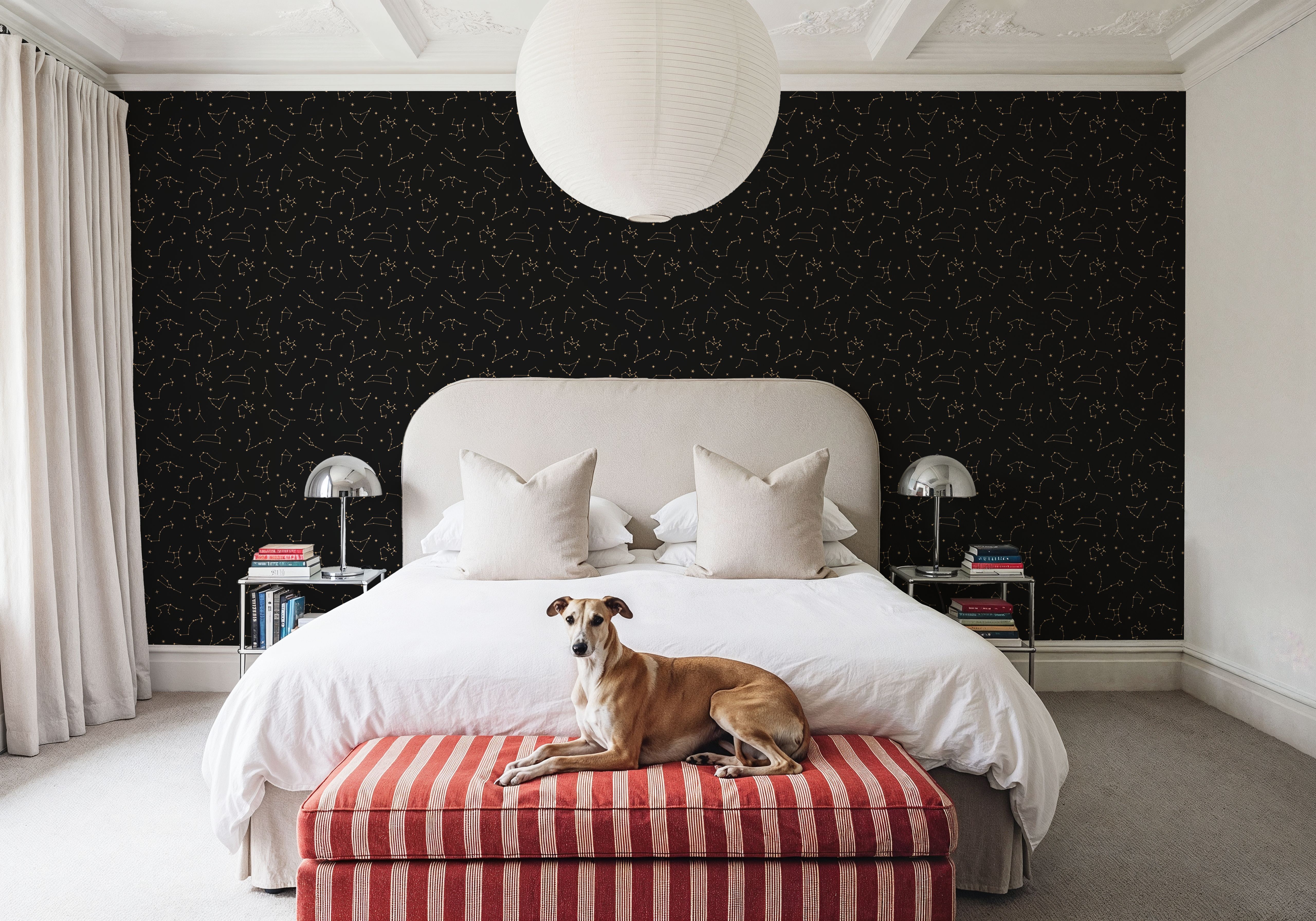 Stars And Signs Black