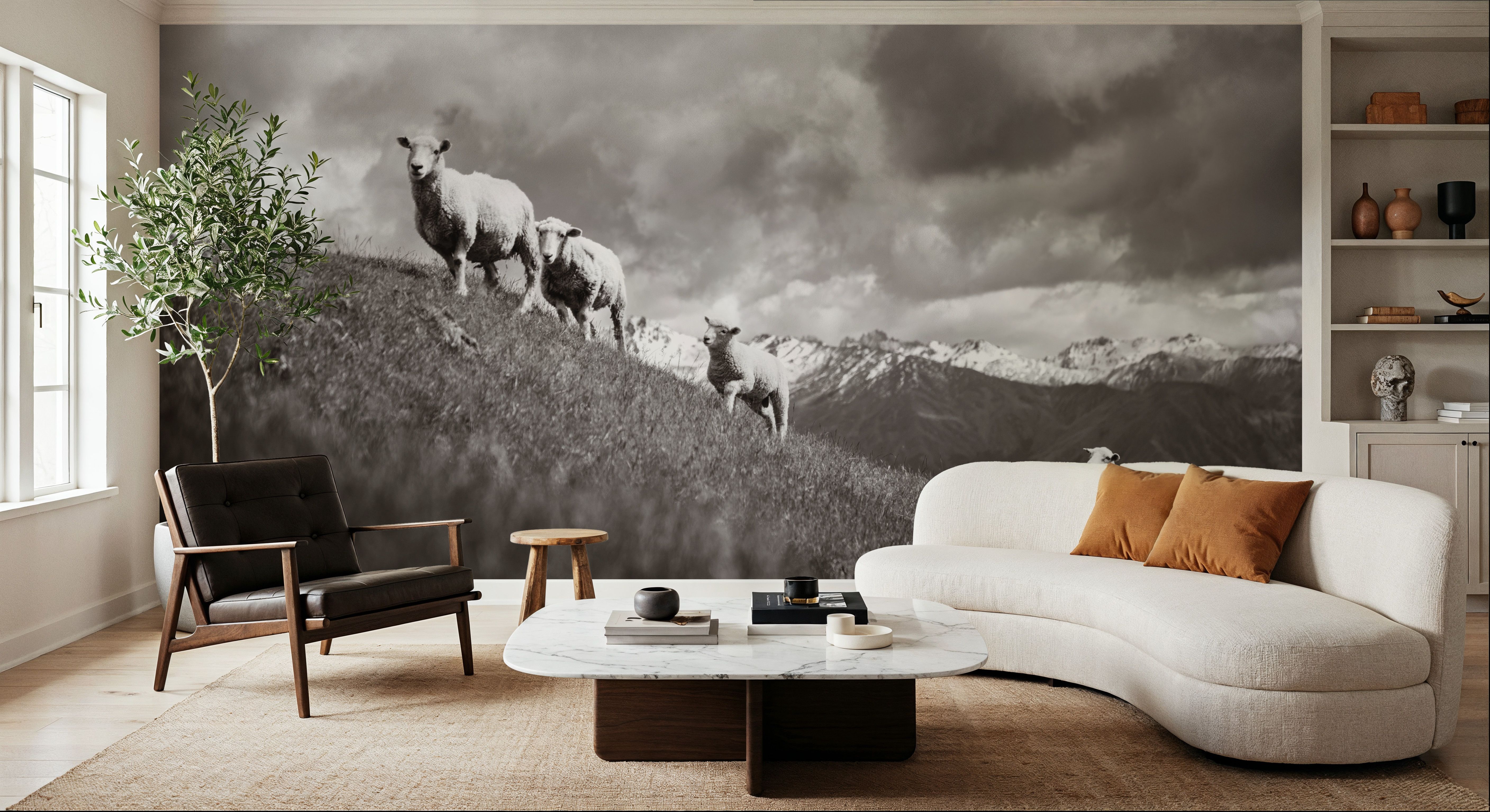 Wanaka Sheep II