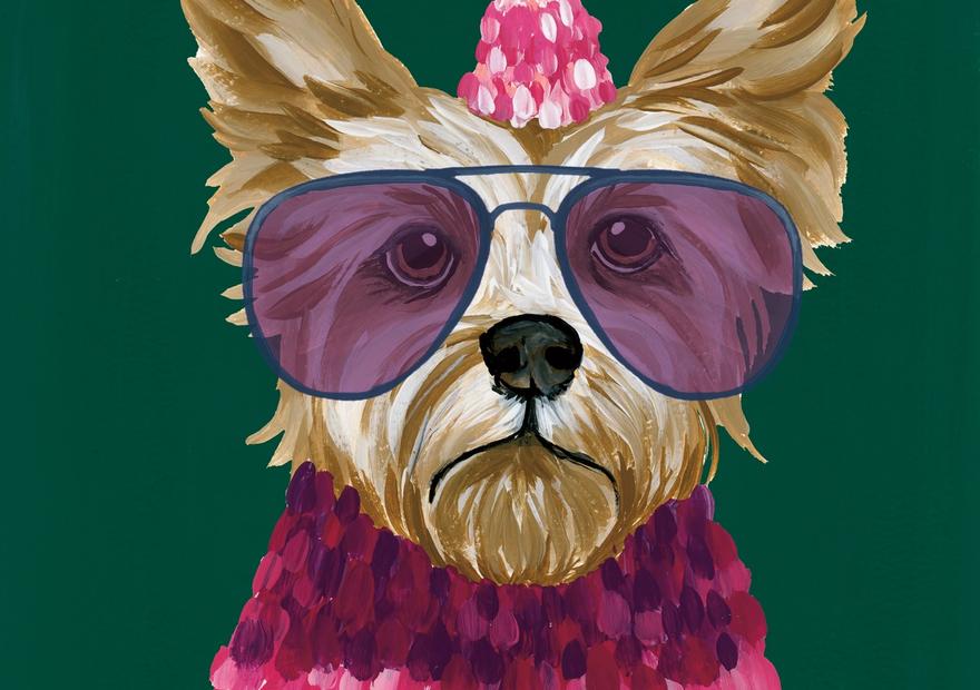 Terrific Terrier