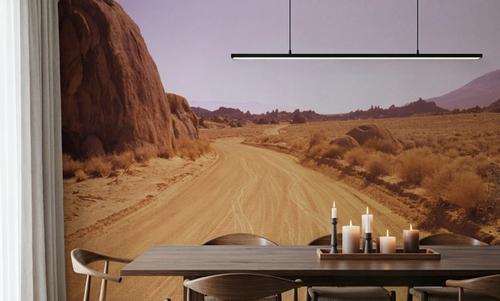 Desert Journey