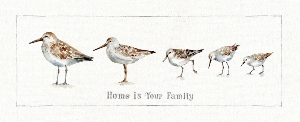 Pebbles and Sandpipers IX