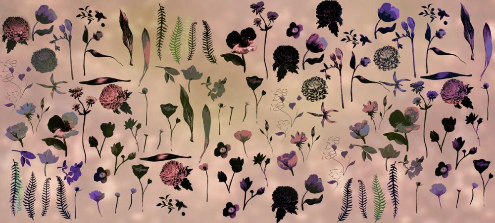 Floral Dream, Rose Dust