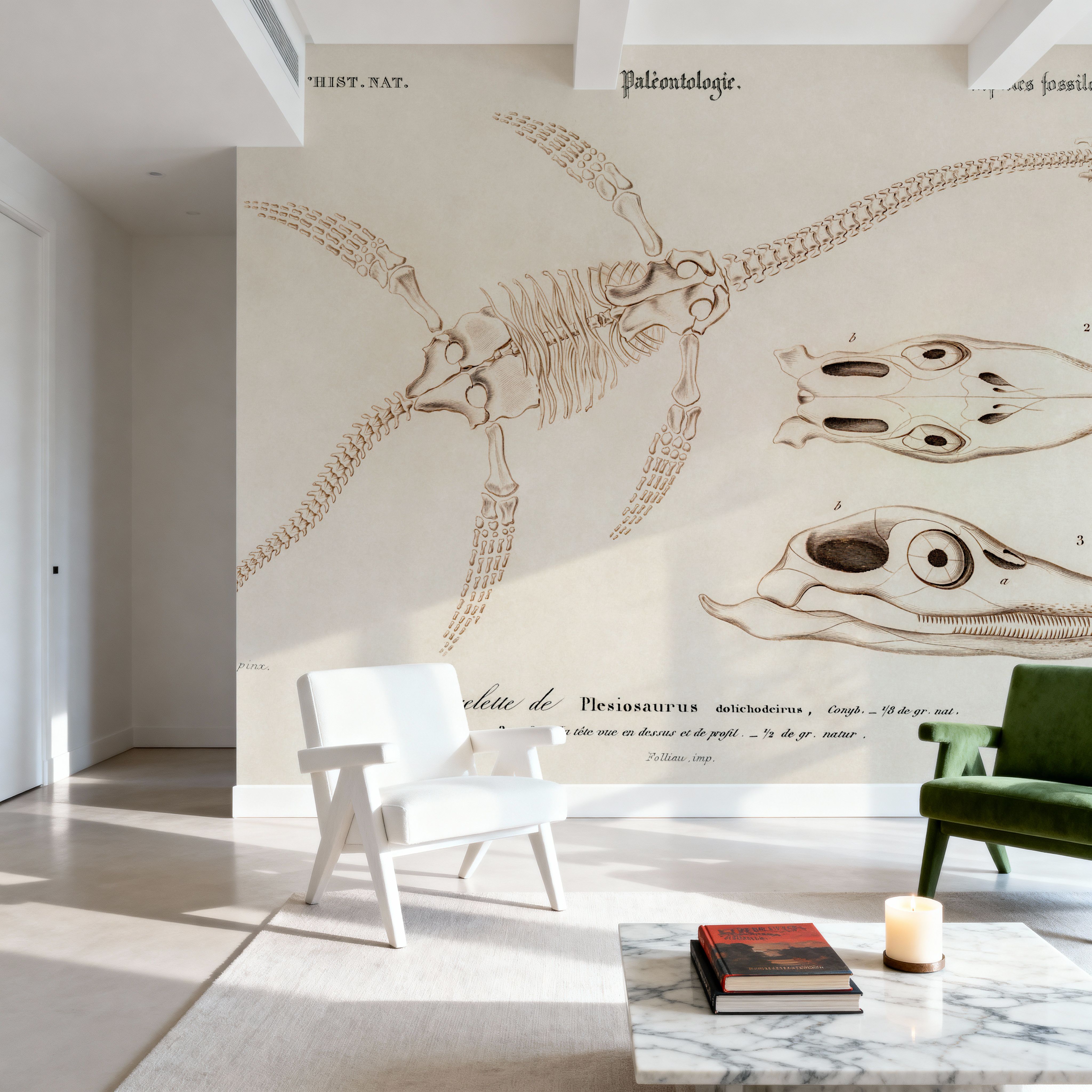 Plesiosaurus Illustrated