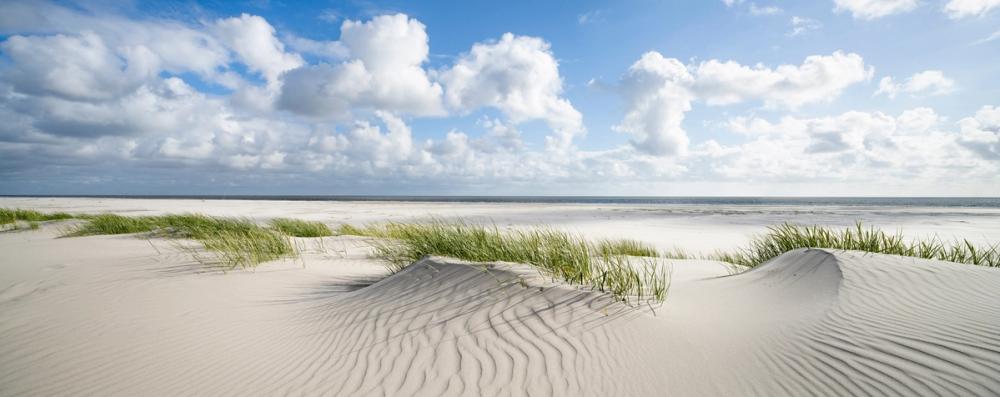Amrum Beach
