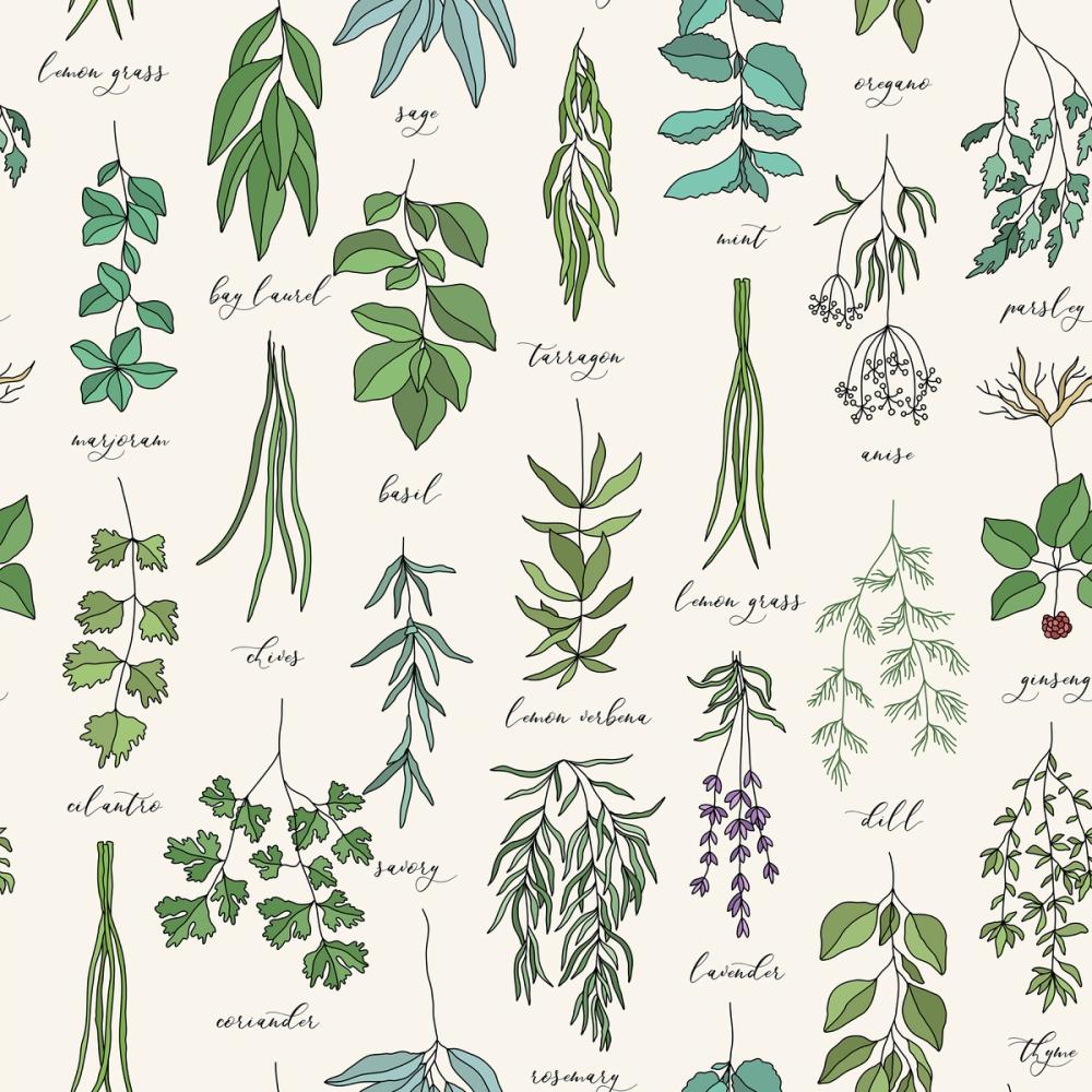 Favourite Herbs