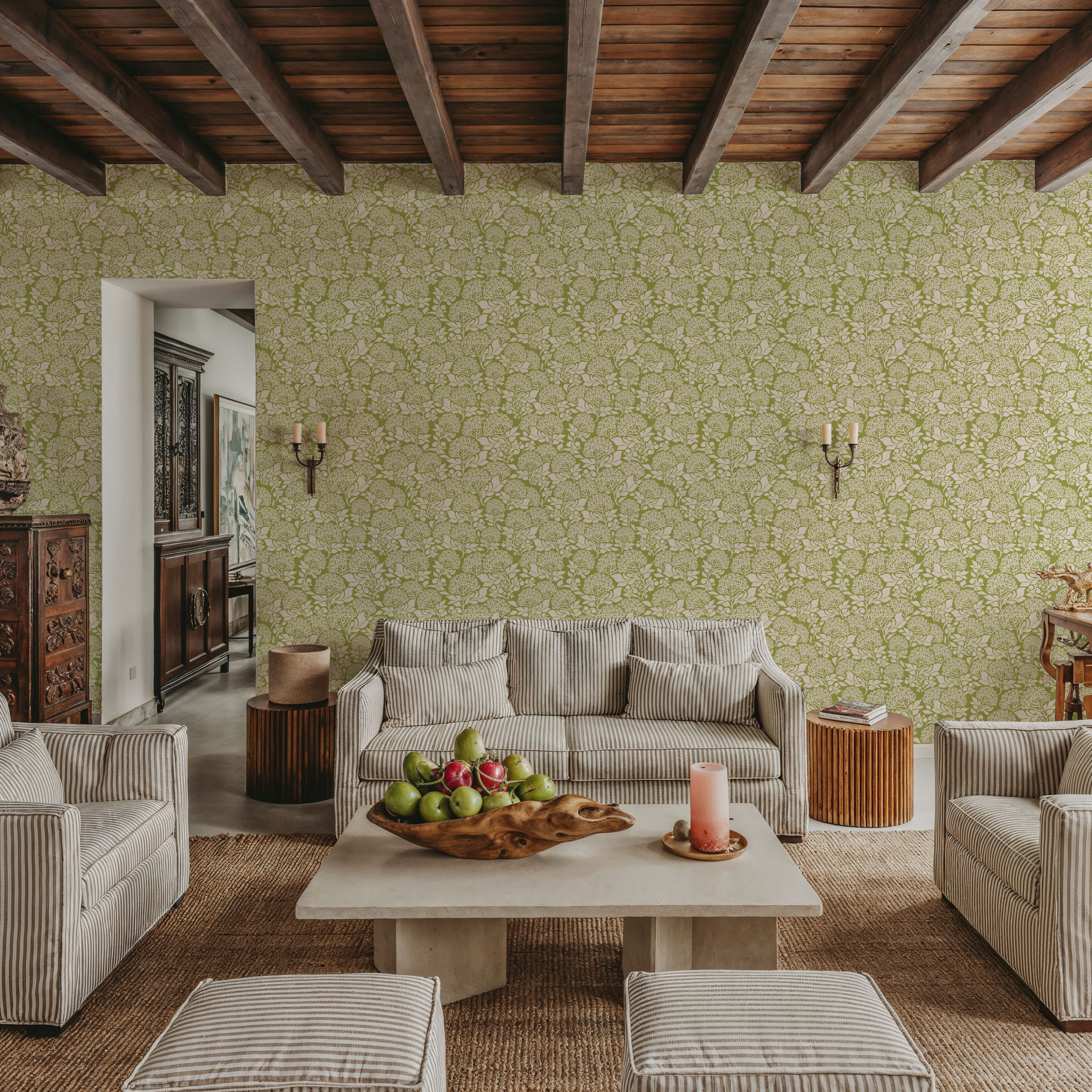 Hydrangea, Pistachio