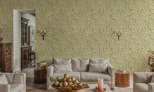 Hydrangea, Pistachio