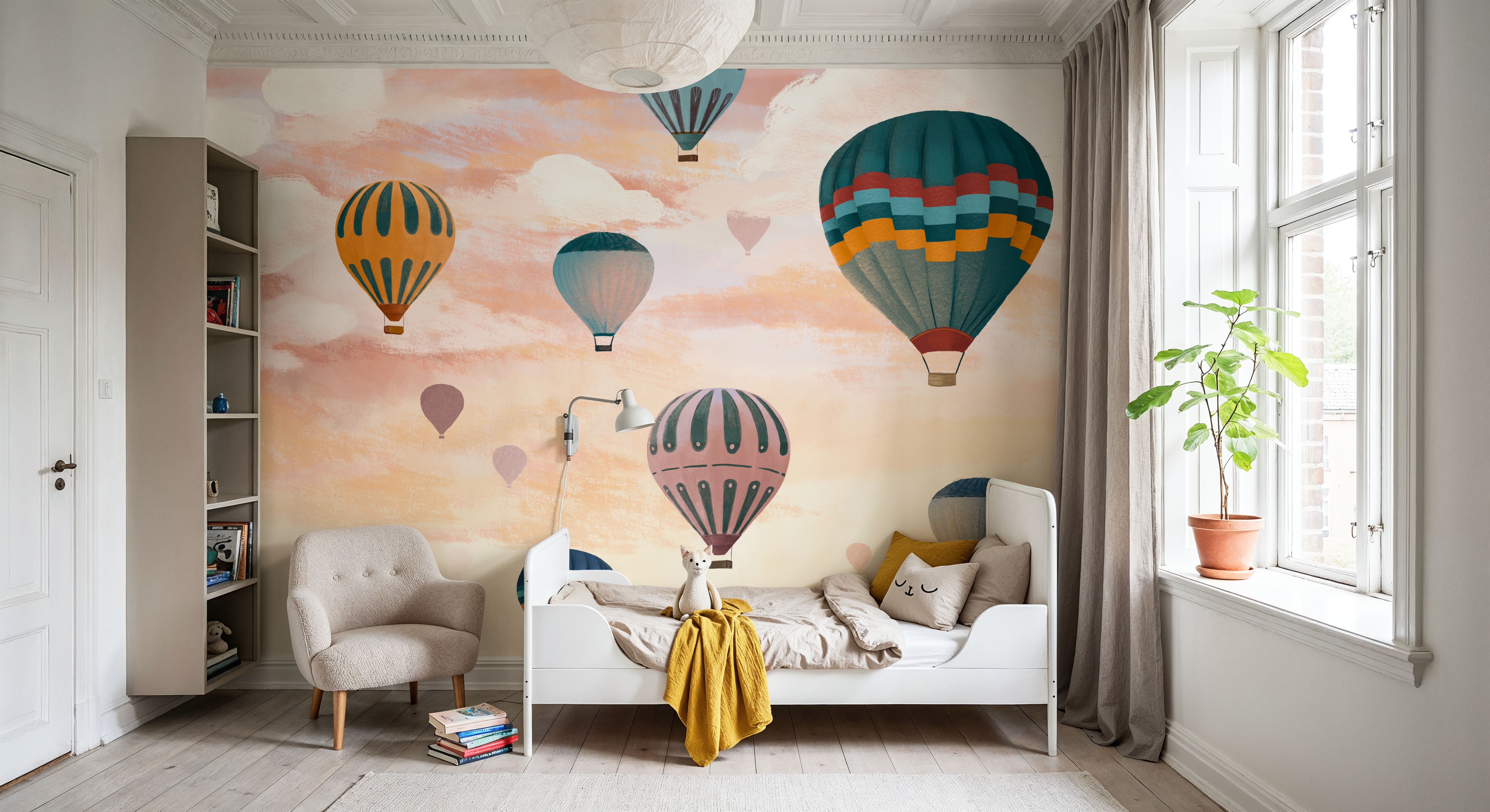 Airballoon Sky