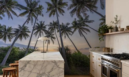 Tropical Sunset Palm