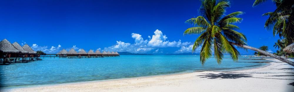 Tropical Paradise Retreat