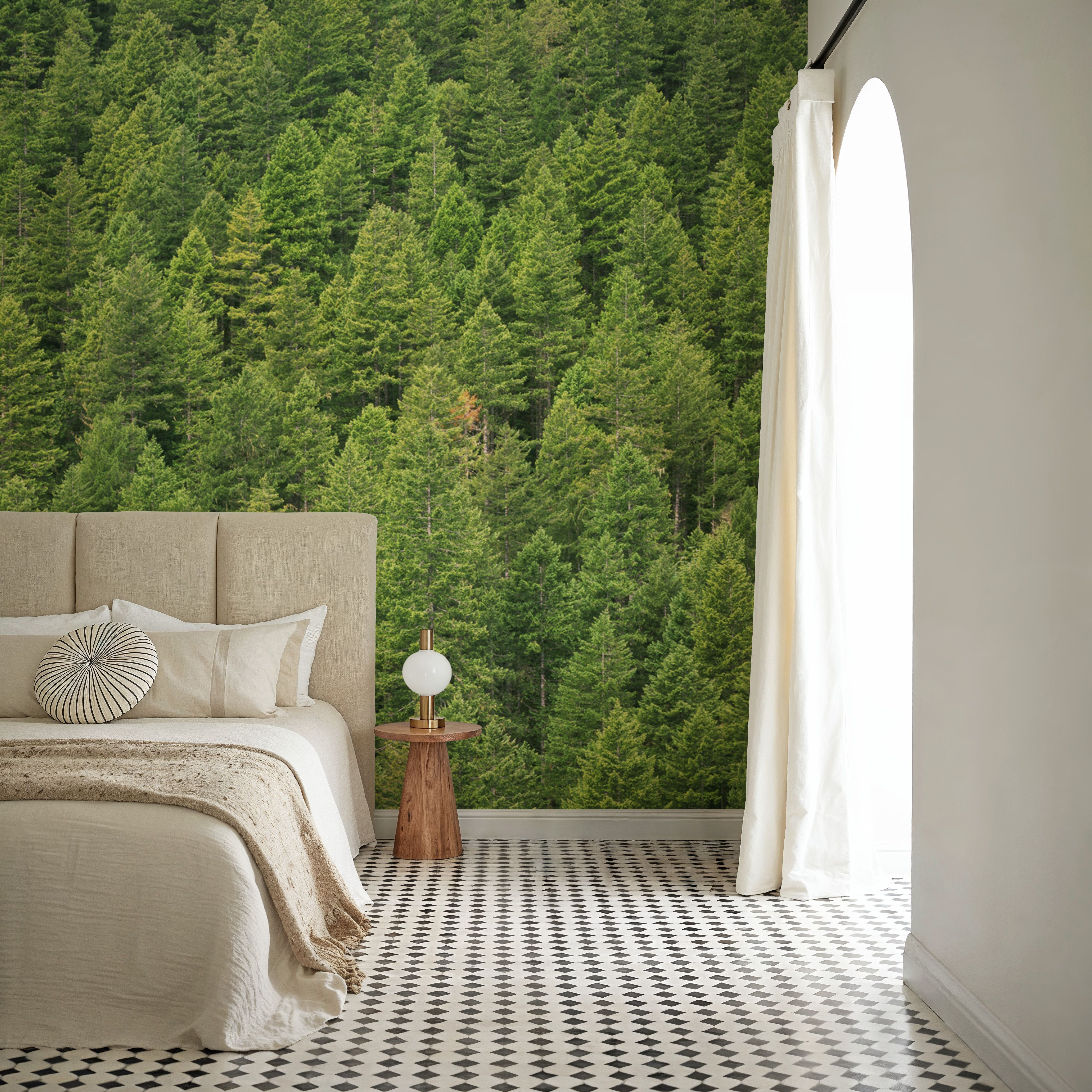 Evergreen Forest in Washintong State