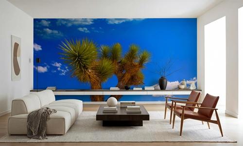 Joshua Tree Blue VII