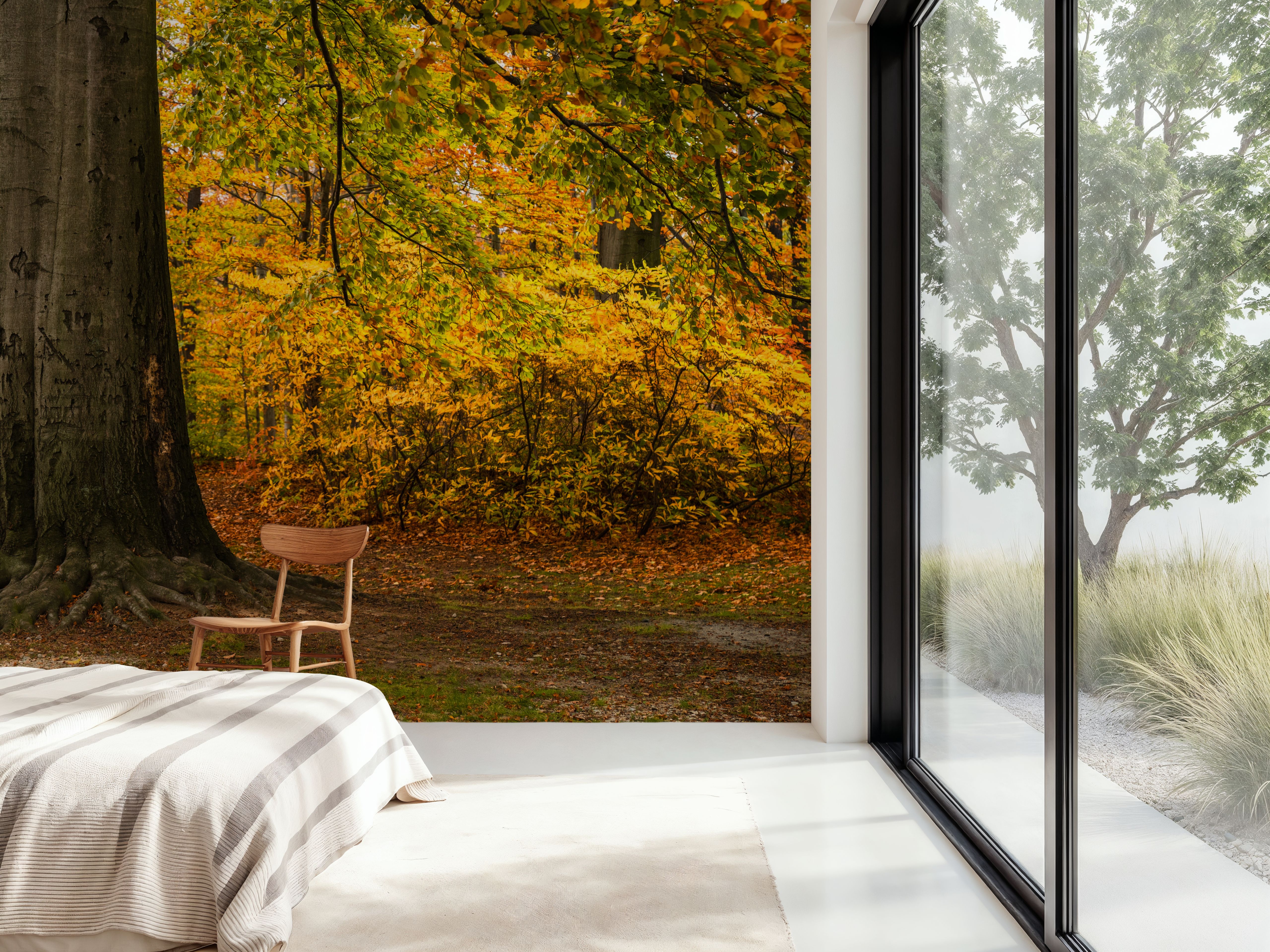 Falling Yellow Autumn Leaves