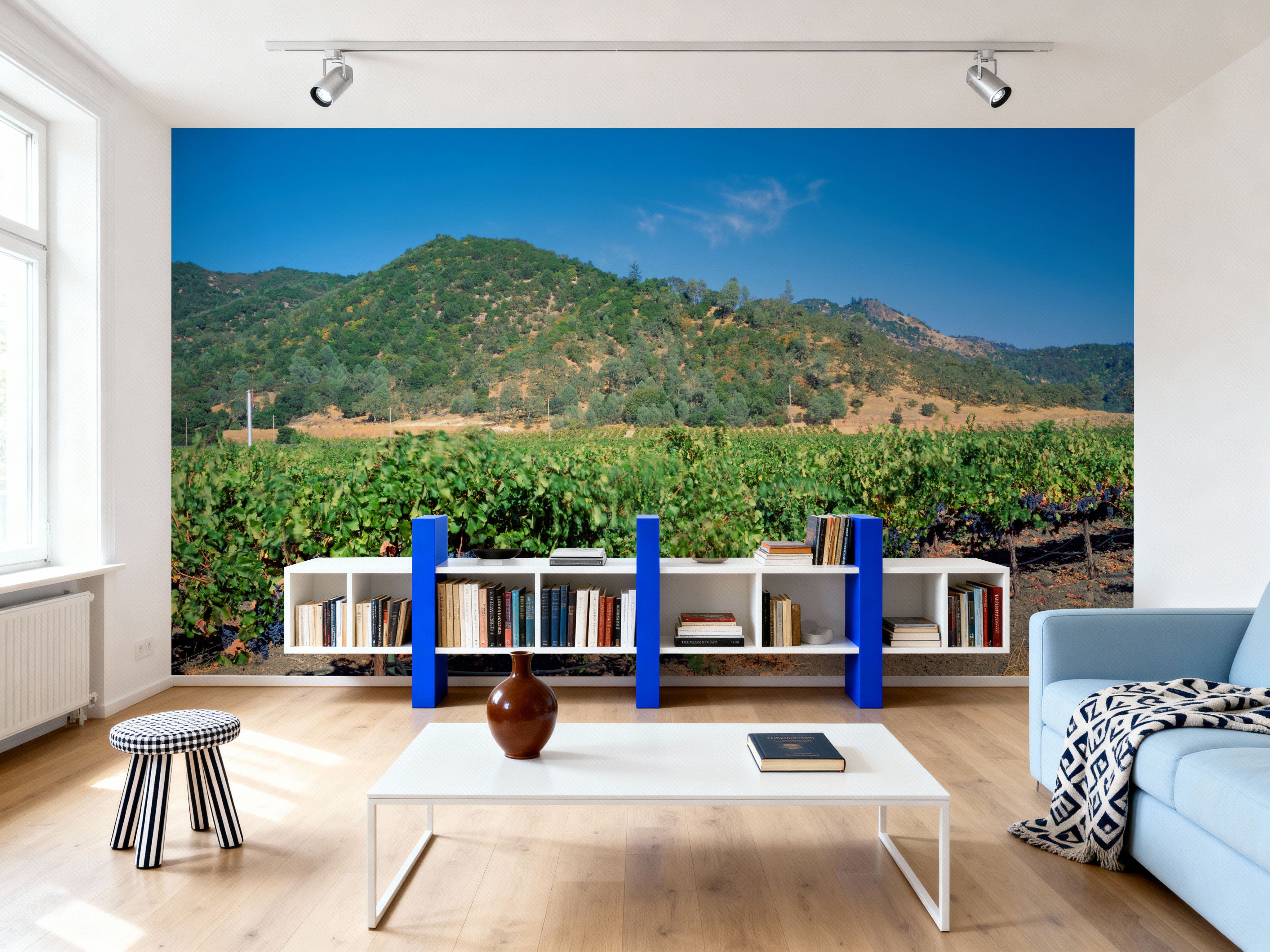 Vineyard Splendor